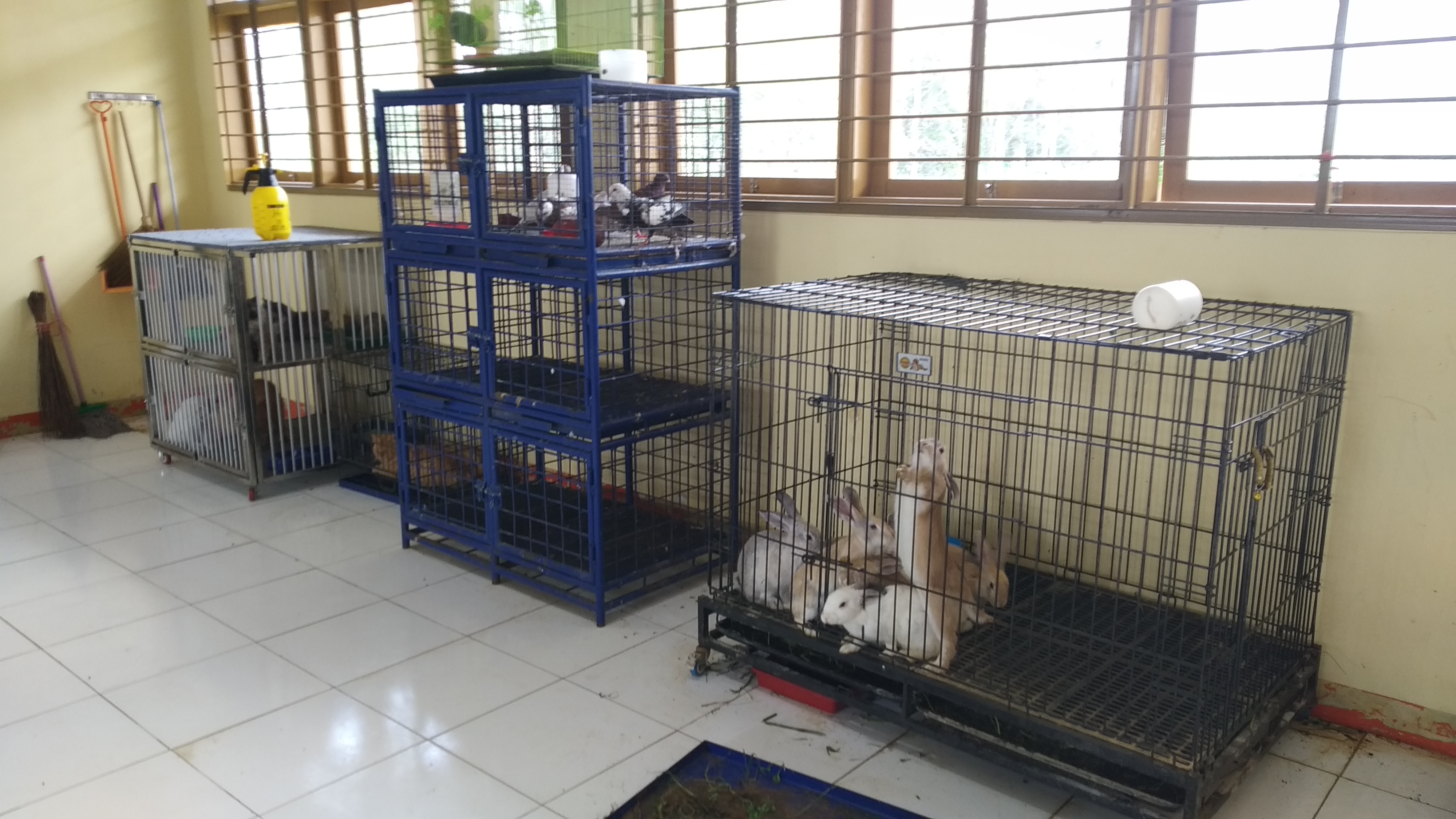 Ruang Praktik Siswa Keperawatan Hewan